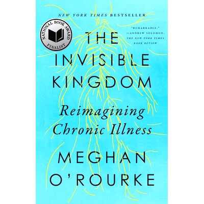 预订 The Invisible Kingdom: Reimagining Chronic Illness: 9780399573309