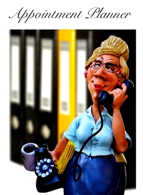 预订 Appointment Planner: Weekly Daily Half-Hourly Appointment Planner Book Organizer Undated