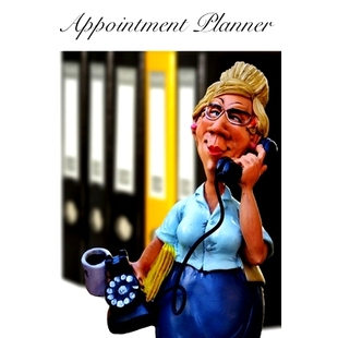 预订 Appointment Planner: Weekly Daily Half-Hourly Appointment Planner Book Organizer Undated