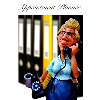 预订 Appointment Planner: Weekly Daily Half-Hourly Appointment Planner Book Organizer Undated