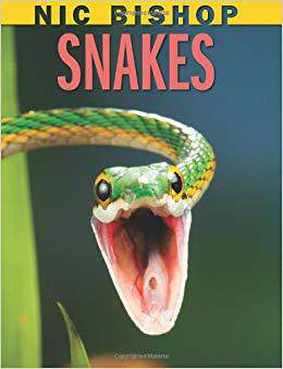 【预售】Snakes