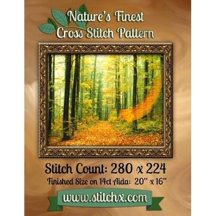 Cross Stitch Pattern 预订 005 Finest Number 9781502539281 Nature’s