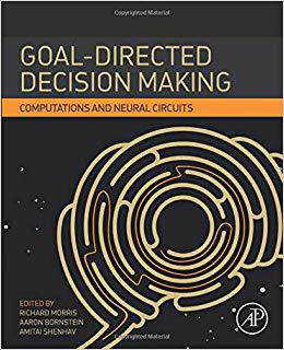 【预售】Goal-Directed Decision Making