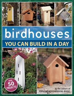 You Can Day 预订 9781558707047 Birdhouses Build