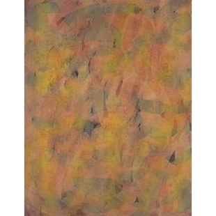 Bd.2 Erdmut Gemalde 预订 Arbeiten 1961–2002 Werkverzeichnis Papier Bramke 9783869050041 Bd.1 auf 1964–2002