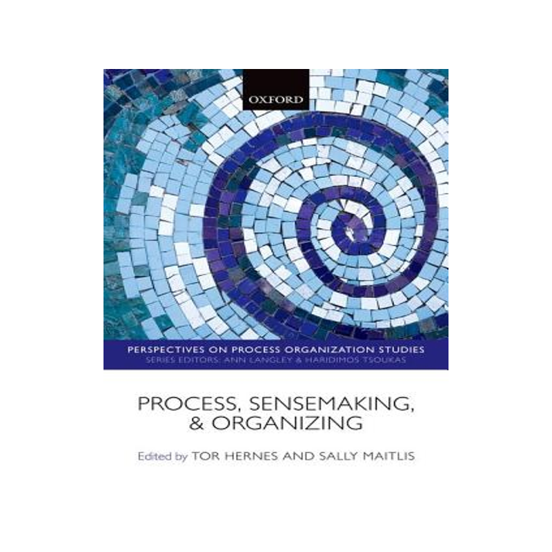 【预售】Process, Sensemaking, and Organizing
