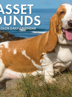 【预订】Basset Hounds 2022 Box Calendar - Dog Breed Daily Desktop 9781549220357