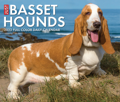 【预订】Basset Hounds 2022 Box Calendar - Dog Breed Daily Desktop 9781549220357