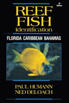 【预订】Reef Fish Identification: Florida Caribbean Bahamas