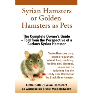 预订 Syrian Hamsters or Golden Hamsters as Pets. Care, Cages or Aquarium, Food, Habitat, Shedding, Feeding, Diet, Diseas