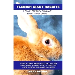 Rabbit Care Flemish Rabbits Food 预订 Supplies Breeding Giant Keeping Cost Buying Rescue Health
