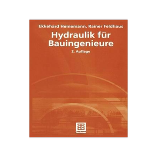 预订 Hydraulik für Bauingenieure