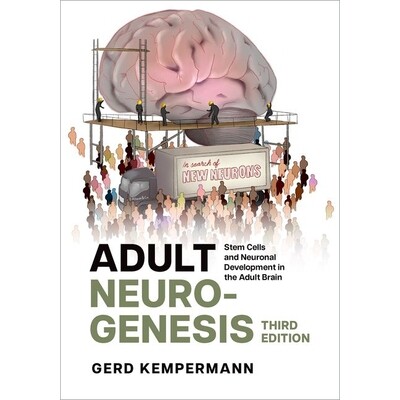 Adult Neurogenesis Stem Cells and Neuronal Development in the Adult Brain 成体神经发生:成人大脑中的干细胞与神经元发育
