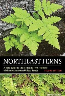 [预订]Northeast Ferns: A Field Guide to the Ferns and Fern Relatives of the Northeastern United States 9781951682712