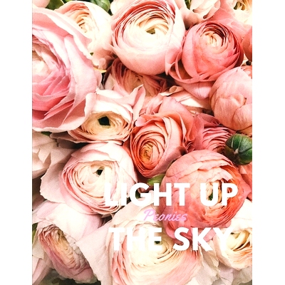 预订 Light Up the Sky Peonies: 9781655811258