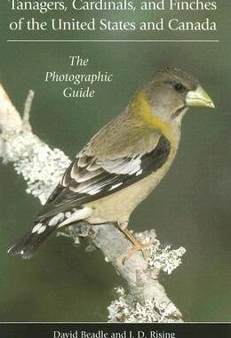 【预订】Tanagers, Cardinals, and Finches of the United States and Canada