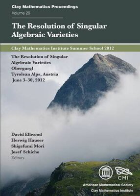 【预售】The Resolution of Singular Algebraic Varieties