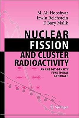 【预订】Nuclear Fission and Cluster Radioactivity 9783642062346