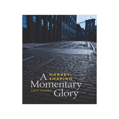 [预订]A Momentary Glory 9780819574893