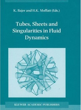 【预订】Tubes, Sheets and Singularities in Fluid Dynamics