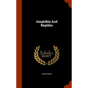 预订 Amphibia and Reptiles: 9781344774208