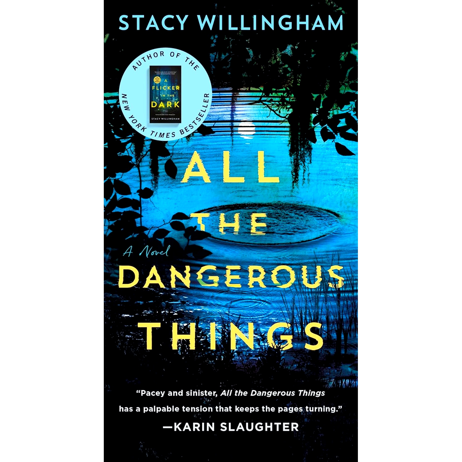 猎物 Goodreads年度悬疑 Stacy Willingham 英文原版 All the Dangerous Things 所有危险的东西