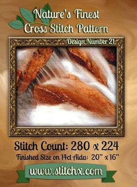 预订 Nature’s Finest Cross Stitch Pattern: Design Number 21: 9781502562173