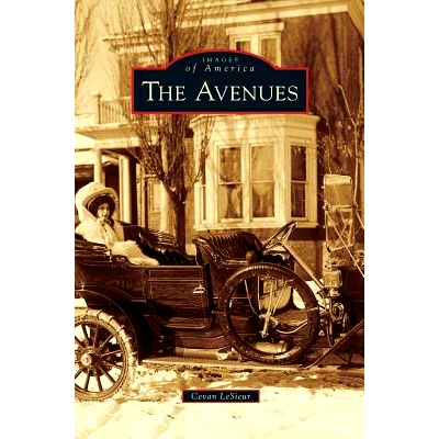 预订 Avenues: 9781531657031