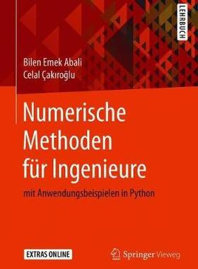 预订 Numerische Methoden für Ingenieure