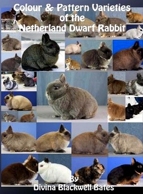预订 Colour & Pattern Varieties of the Netherland Dwarf Rabbit: 9781540630100