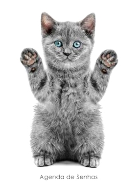 预订 Agenda de Senhas: Agenda Para Enderecos Eletronicos E Senhas: Capa Gatinho Brincalhao - Portugues (Brasil): 9781542