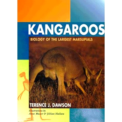 预订 Kangaroos: Biology of the Largest Marsupials: 9780801482625