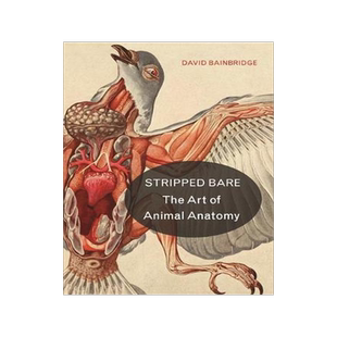 [预订]Stripped Bare 9780691181424
