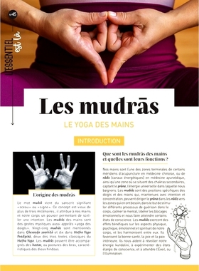 预订 Les mudras : le yoga des mains 手印：手瑜伽: 9782383553274