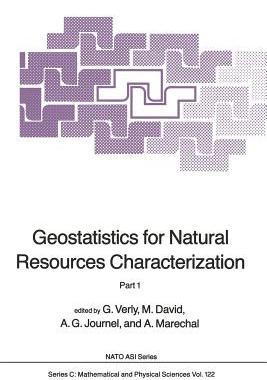 预订 Geostatistics for Natural Resources Characterization