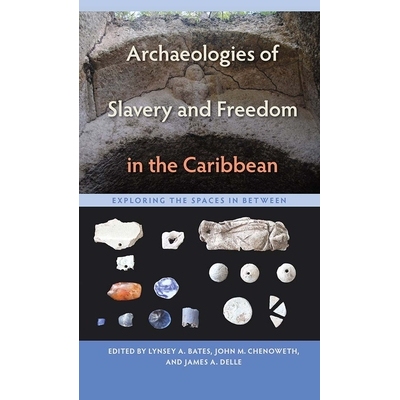 预订 Archaeologies of Slavery and Freedom in the Caribbean: Exploring the Spaces in Between 加勒比奴隶制和自由的考古学：