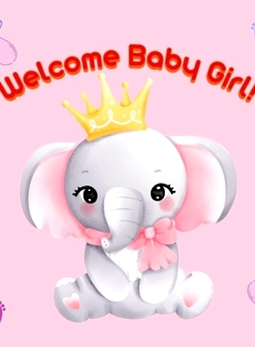 预订 Welcome Baby Girl!