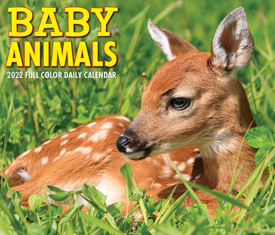 【预订】Baby Animals 2022 Box Calendar, Daily Desktop 9781549220326