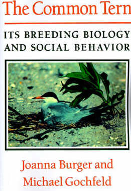 预订 The Common Tern: Its Breeding Biology and Social Behavior