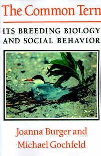 Tern Its Social The Behavior and Common Biology 预订 Breeding