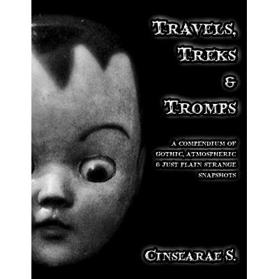 预订 Travels, Treks & Tromps: A Compendium of Gothic, Atmospheric, and Just Plain Strange Snapshots: 9781541080287