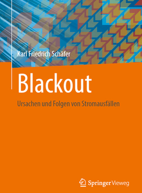 预订 Blackout: Ursachen Und Folgen Von Stromausfällen