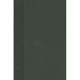 The Politics 预订 失踪身体：可见性政治学 Bodies Visibility 9780814716779 Missing