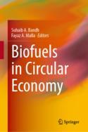 【预订】Biofuels in Circular Economy 9789811958366