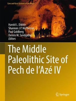 【预订】The Middle Paleolithic Site of Pech de l’Azé IV