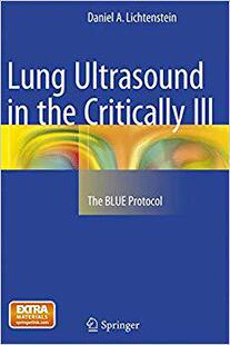 【预售】Lung Ultrasound in the Critically Ill: The Blue Protocol (Softcover Reprint of the Origi)