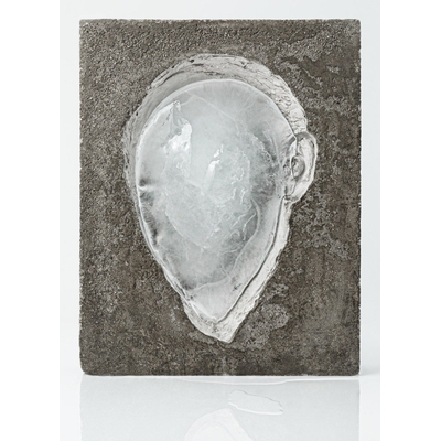 预订 Tania Pérez Córdova: Generalization 塔尼亚·佩雷斯·科尔多瓦：概括: 9781941366608