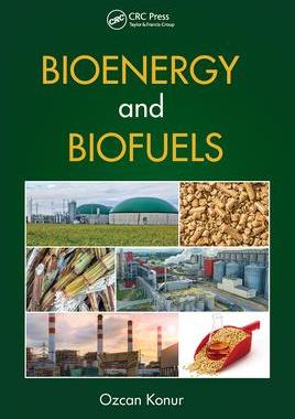 [预订]Bioenergy and Biofuels 9781032236438