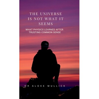 预订 The Universe Is Not What It Seems: What Physics Learned After Trusting Common Sense 9798902699361