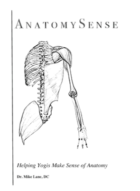 预订 AnatomySense: Helping Yogis Make Sense of Anatomy: 9781658780094